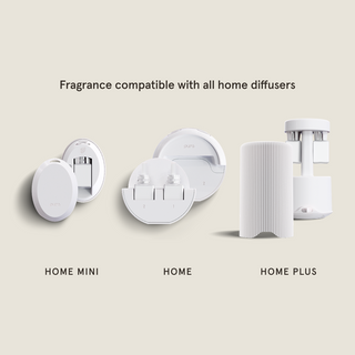 Pura Pumpkin Spice Fragrance Refill