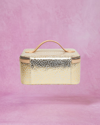 Consuela Kit Train Case