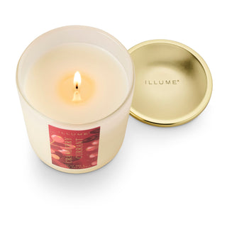 Illume Cranberry Currant Signature Glass Candle