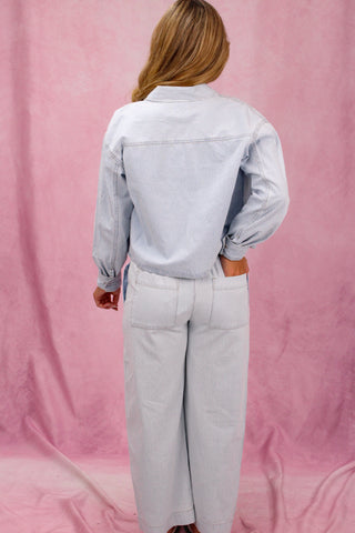 Z Supply Soft Denim Carpenter Pant - Seaboard Stripe