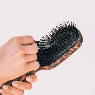 Teleties Boar Bristle Brush - Tortoise