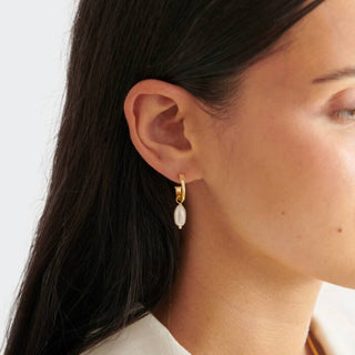 Katie Loxton Pearl Lustre Hoop Earrings