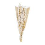Home Decor - Floral Mudpie Lions Grass Bundle