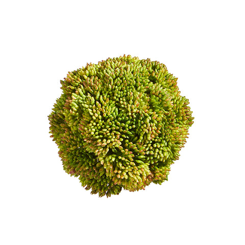 4" Green Sedum Ball