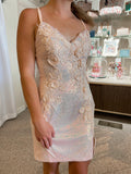 Blush Prom 20413 - Blush Size 4
