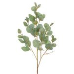 34" Glittered Eucalyptus Spray