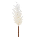 Home Decor - Floral 36" Pampas Grass Stem