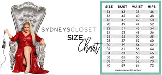 Sydney's Closet Organza/Satin Overskirt - Size 16W