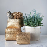 Hand-Woven Seagrass Baskets w/Lids