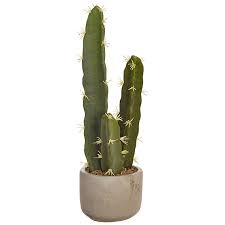 Home Decor - Floral 16.5" Potted Cactus